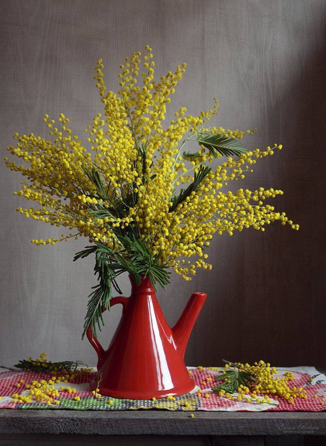 еленабелова, натюрморт, Елена Белова