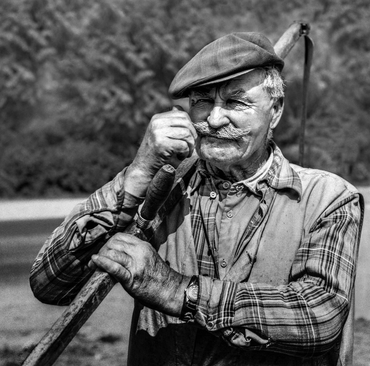 косарь, Rimantas Petrikas