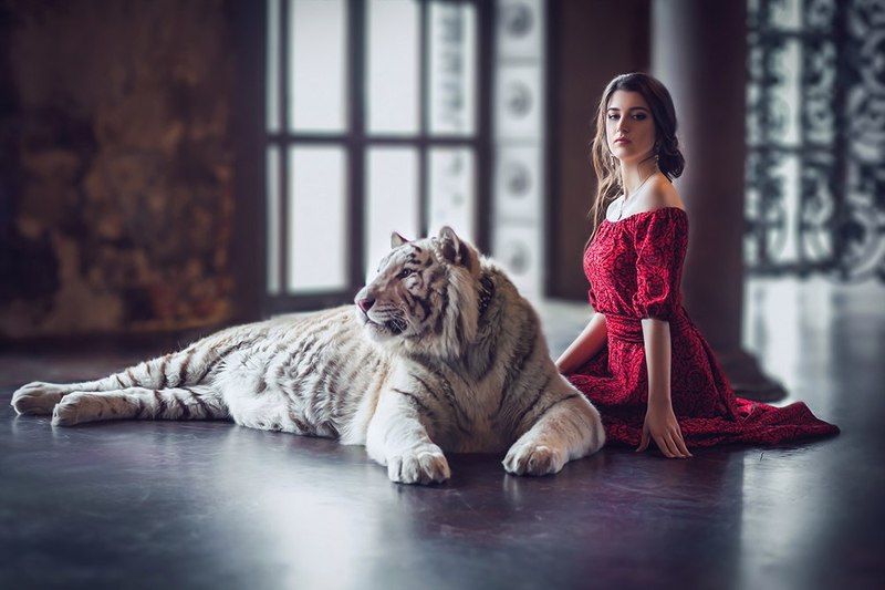 фото превью