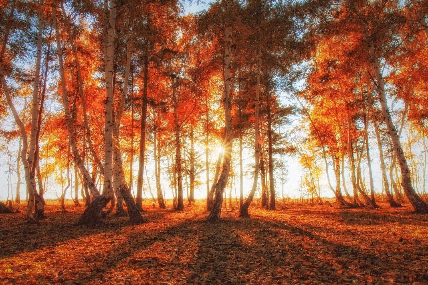 , Павел Сагайдак