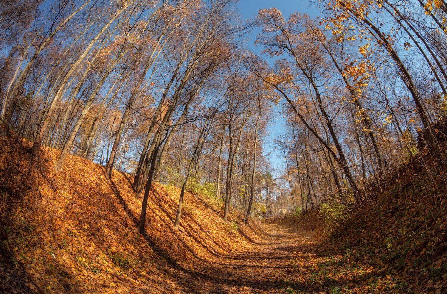 осень, солнце, листья, усадьба, суханово, Виктор Климкин