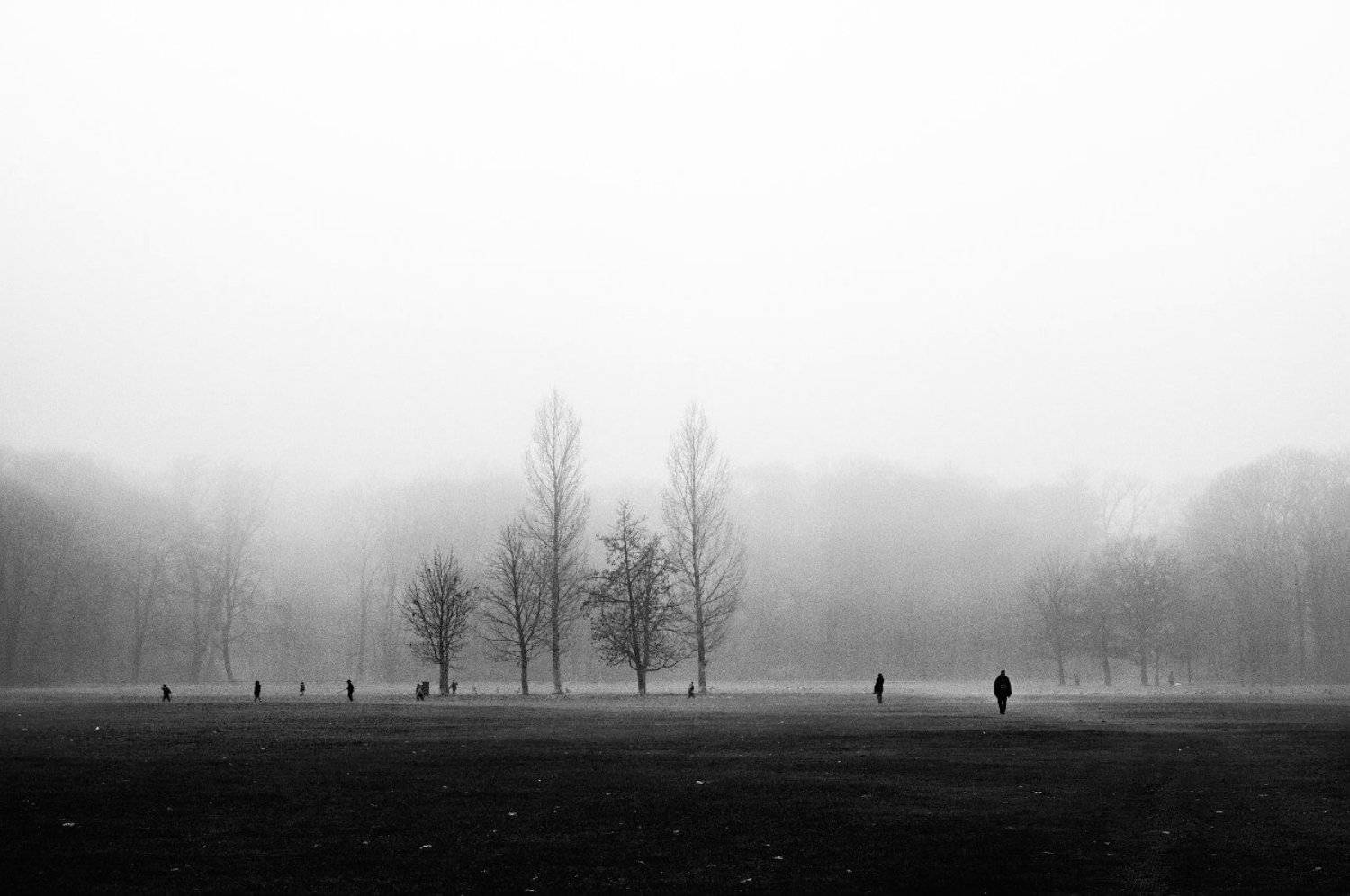 силуэт , пейзаж , чб, Александр Терентьев