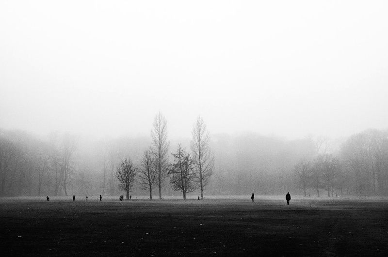 силуэт , пейзаж , чб Настроение фото превью