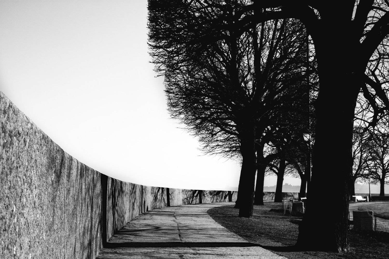 тени , чб, Александр Терентьев