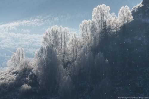 Точно в сахаре