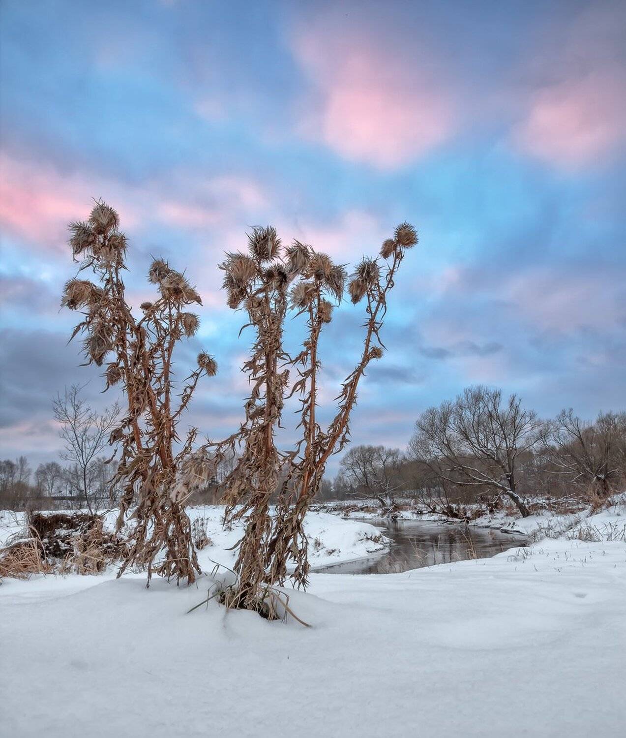 , Николай Андреев
