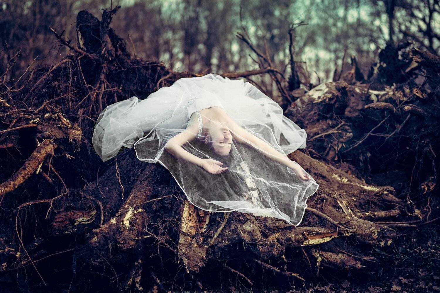 девушка лес корни концепция , Вероника Гергерт