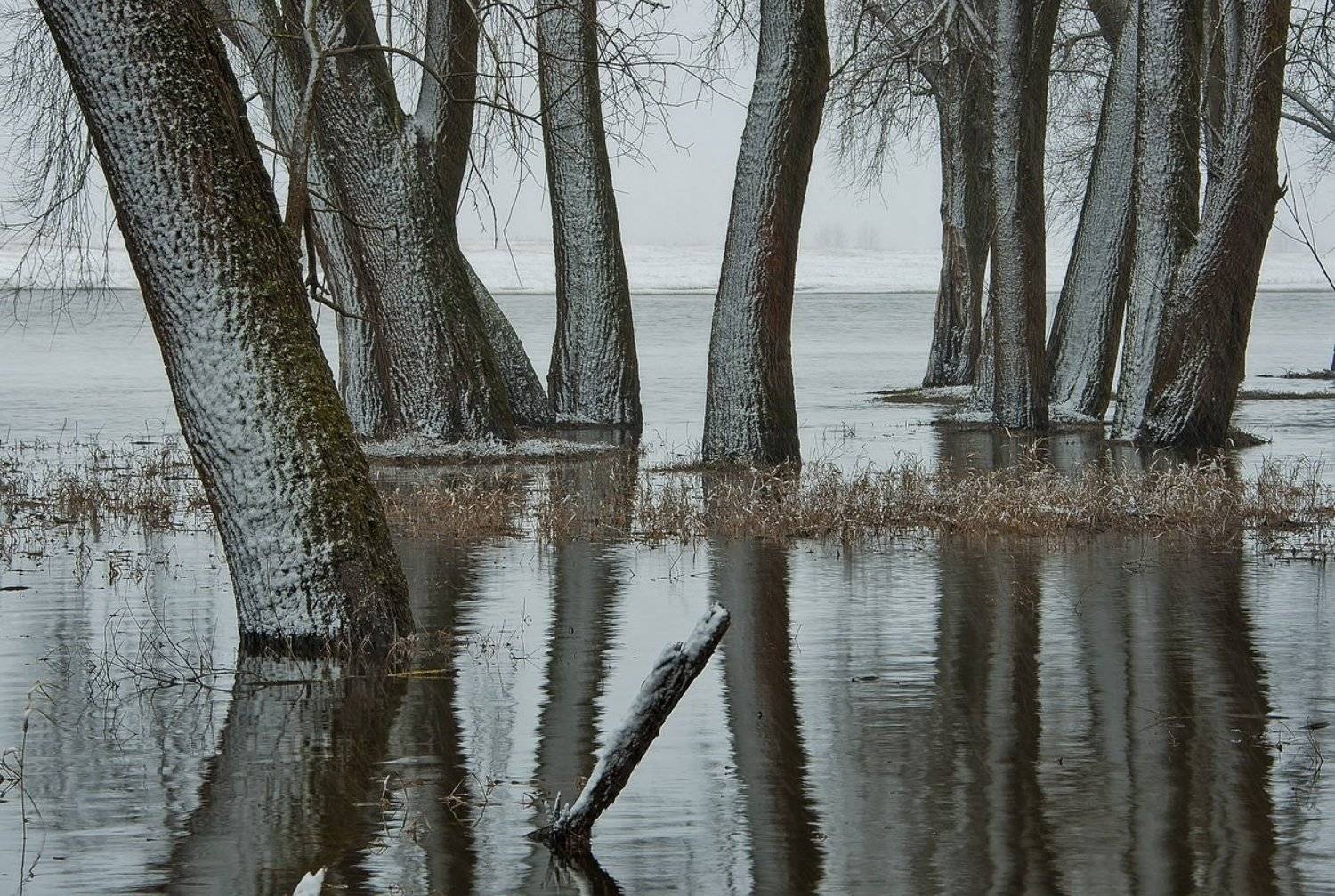 , Валерий Кондратов