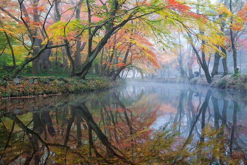 Mystic autumn morning