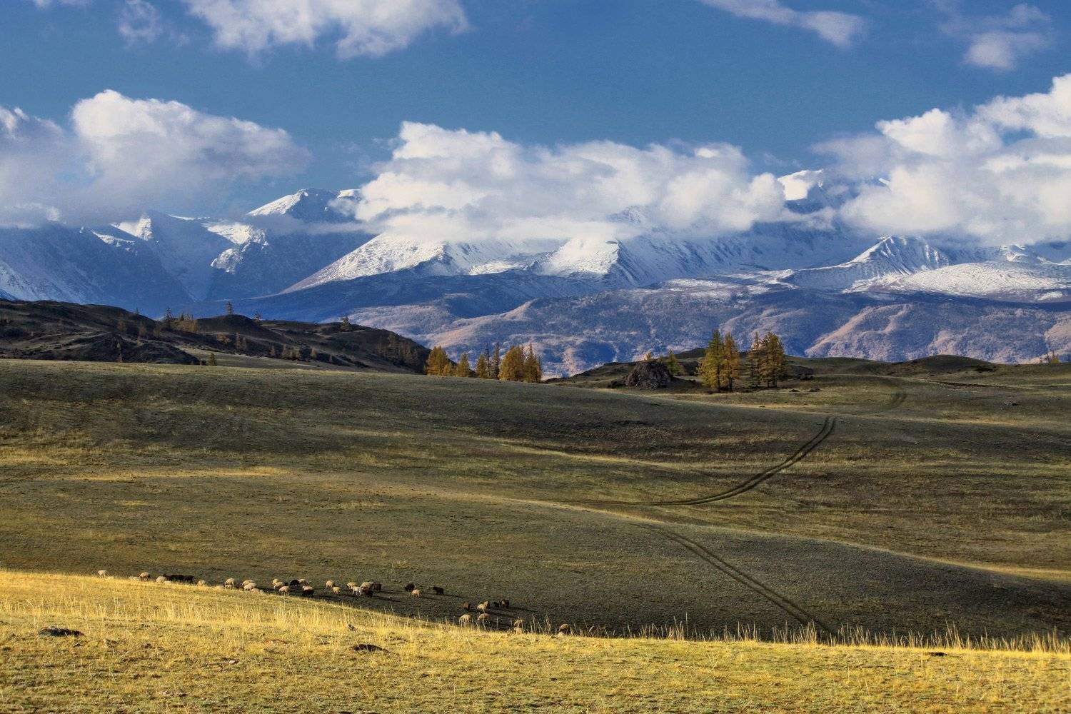 алтай, горный алтай, курай, северо-чуйский хребет,осень, горы, Галина Хвостенко