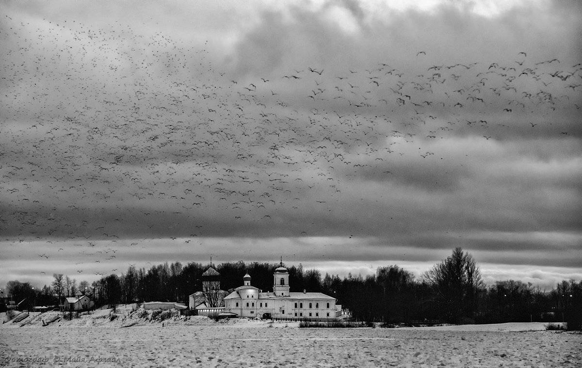 псков, россия, зима, Майя Афзаал