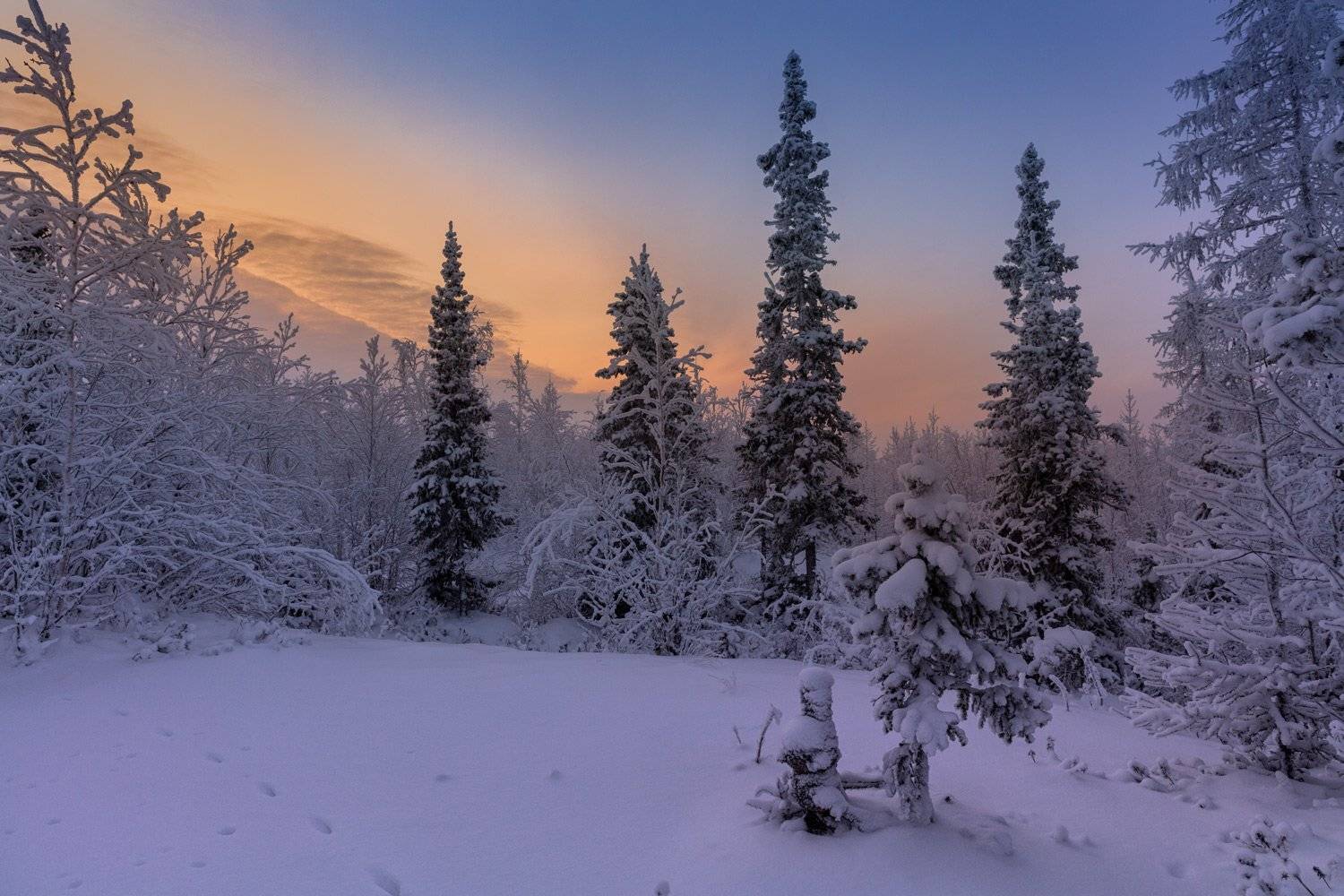 , Евгений Кужилев