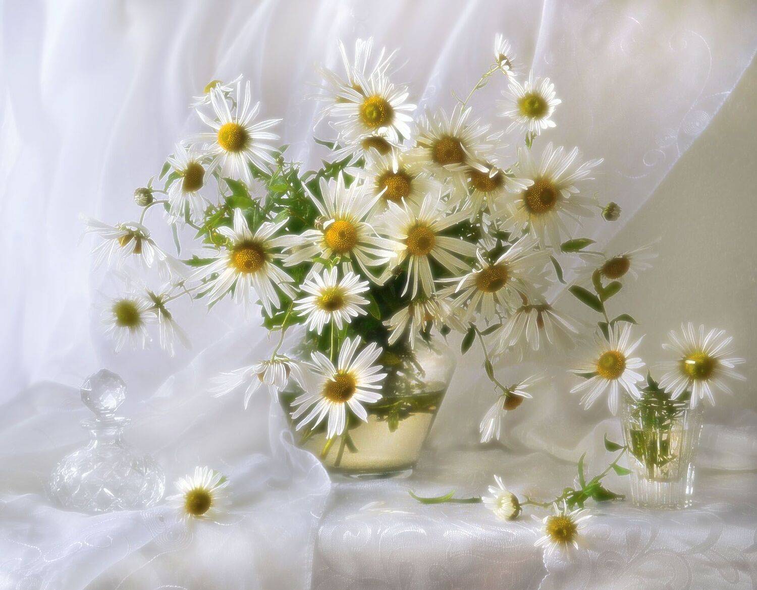 still life, натюрморт , октябрь, осень, стихи, фото натюрморт, хризантемы, цветы, Колова Валентина