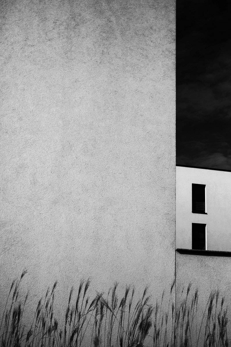 , Krzysztof Trojanowski