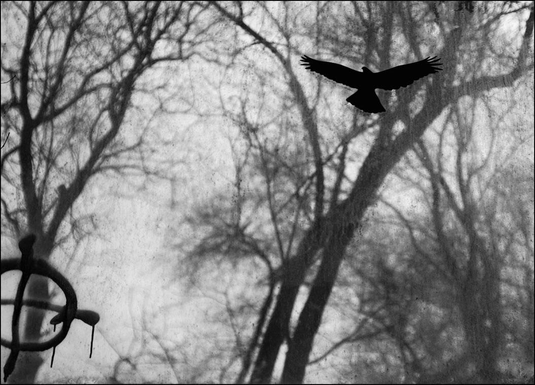 , Krzysztof Trojanowski