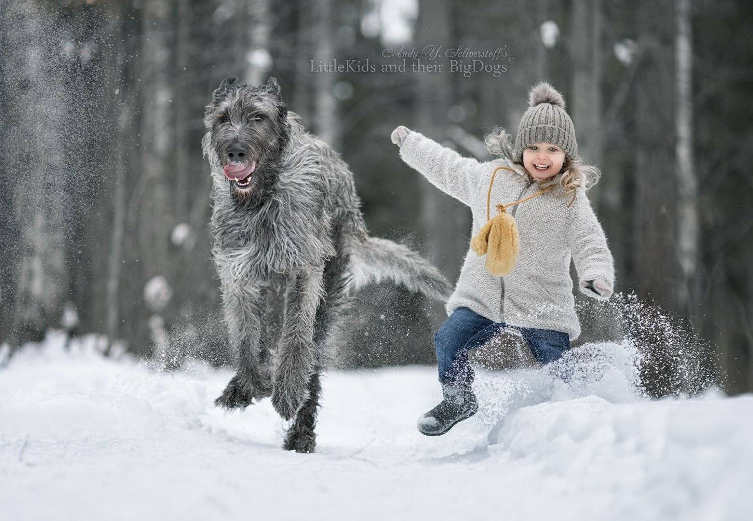 , Андрей Селиверстов
