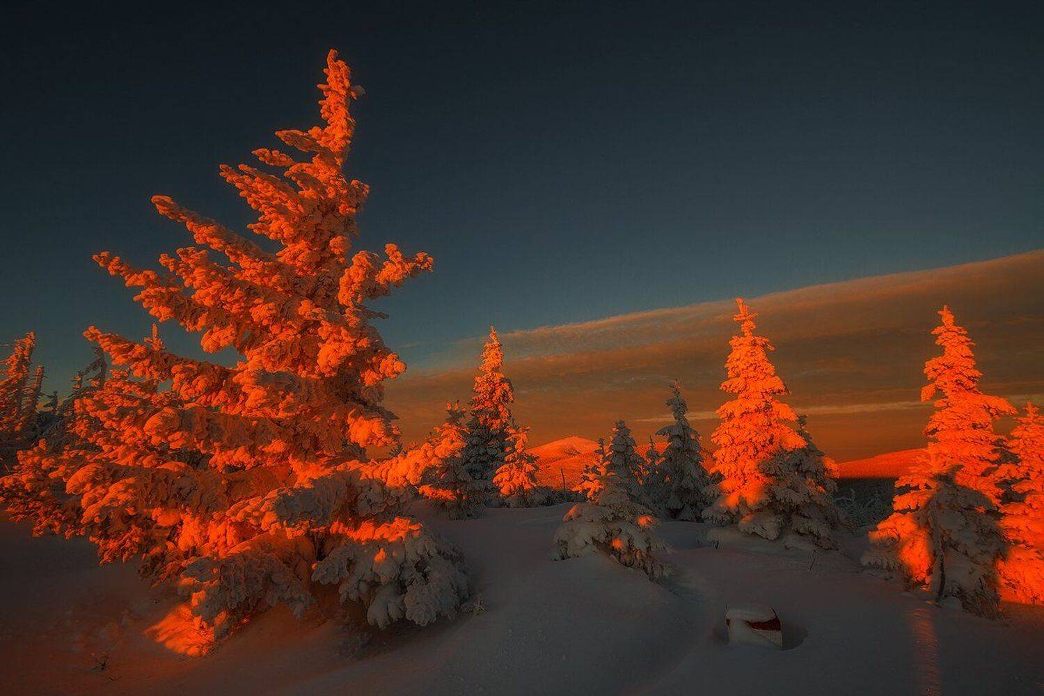 landscape,canon,winter, Iza i Darek Mitręga