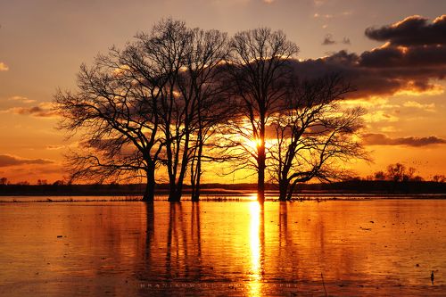 Golden sunset
