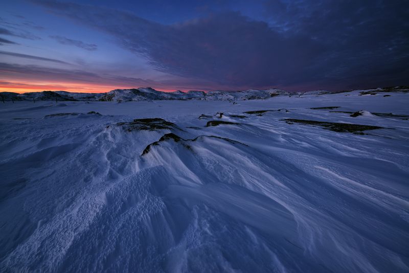 В тундре Кольского... фото превью