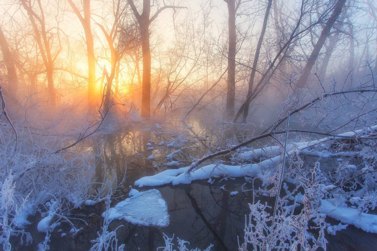 , Павел Сагайдак