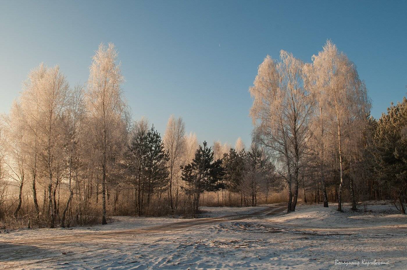 , Володимир Карчевський