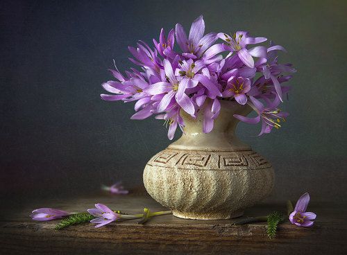 Сиреневая нежность.