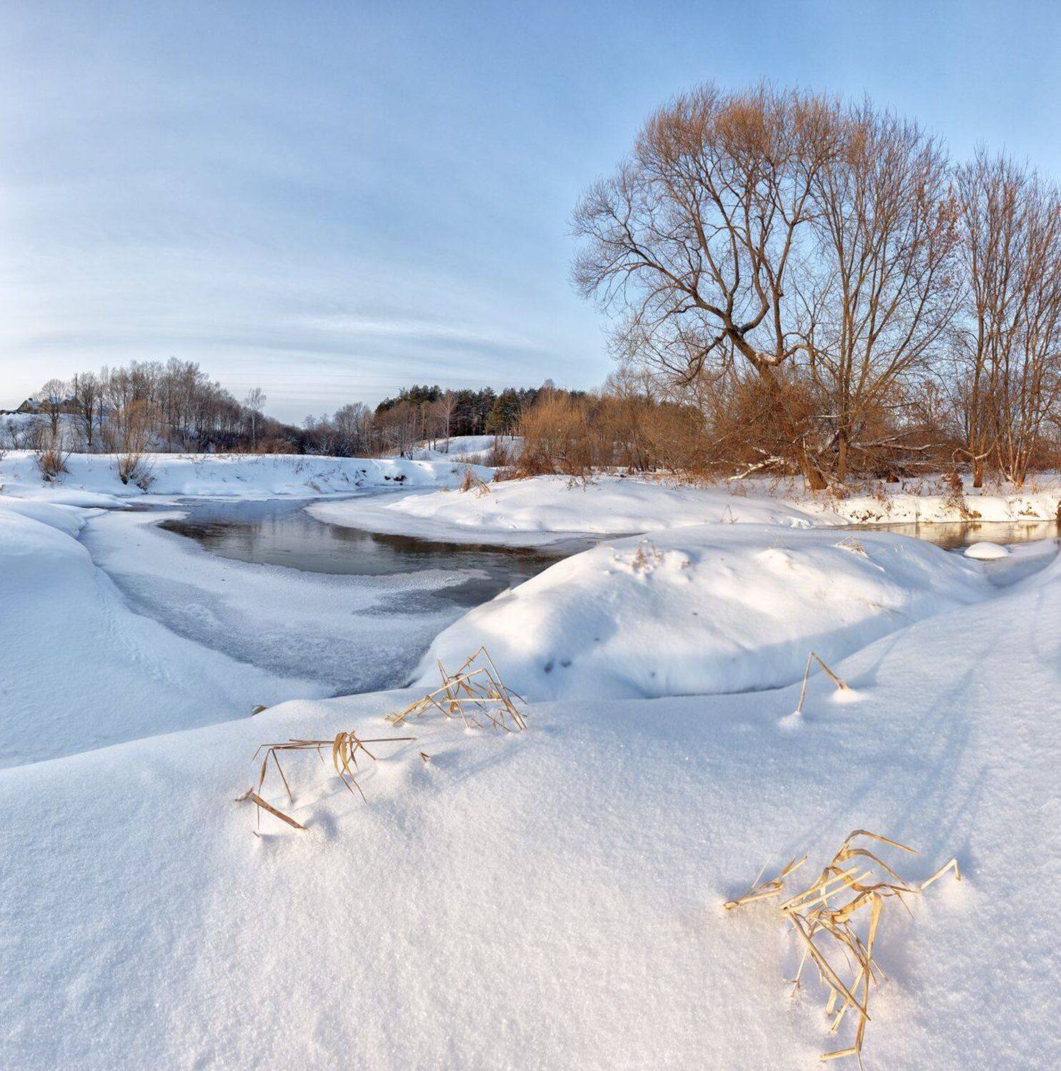 , Николай Андреев