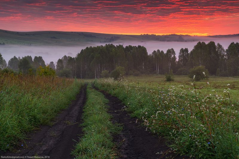 алтай, сибирь, заря, рассвет, предгорья, алтайский край, гречиха Рассвет в предгорьях фото превью