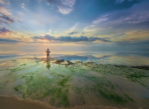 Край цвета...