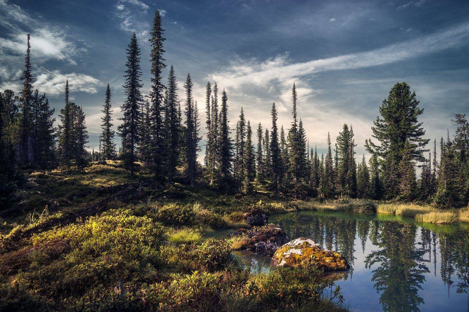 landscape, nature, taiga, lake, forest, rocks, cold, spectacular, пейзаж, природа, тайга, лес, глухая, красивая, озеро, камни, холодное, pure, transparent, morning, moss, чистое, прозрачное, утро, мох, siberia, ergaki, сибирь, ергаки, красноярский край, Дмитрий Антипов