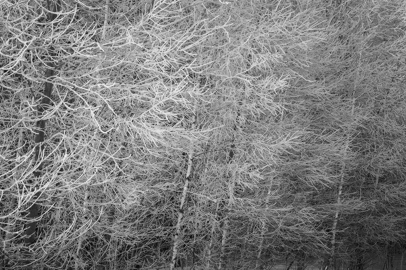 winter, frost, water, ice,snow, мороз, зима, утро, пейзаж. лед, иней Узоры зимы фото превью