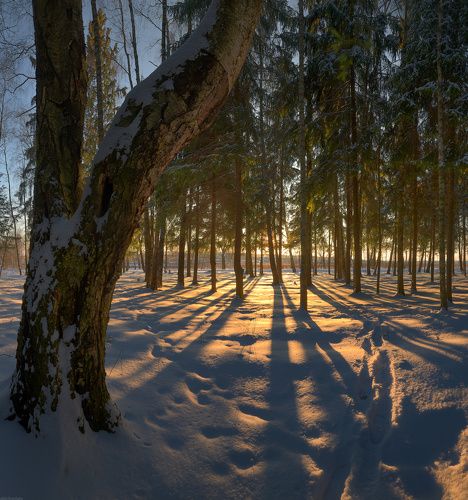 / Вечер в Подмосковье /