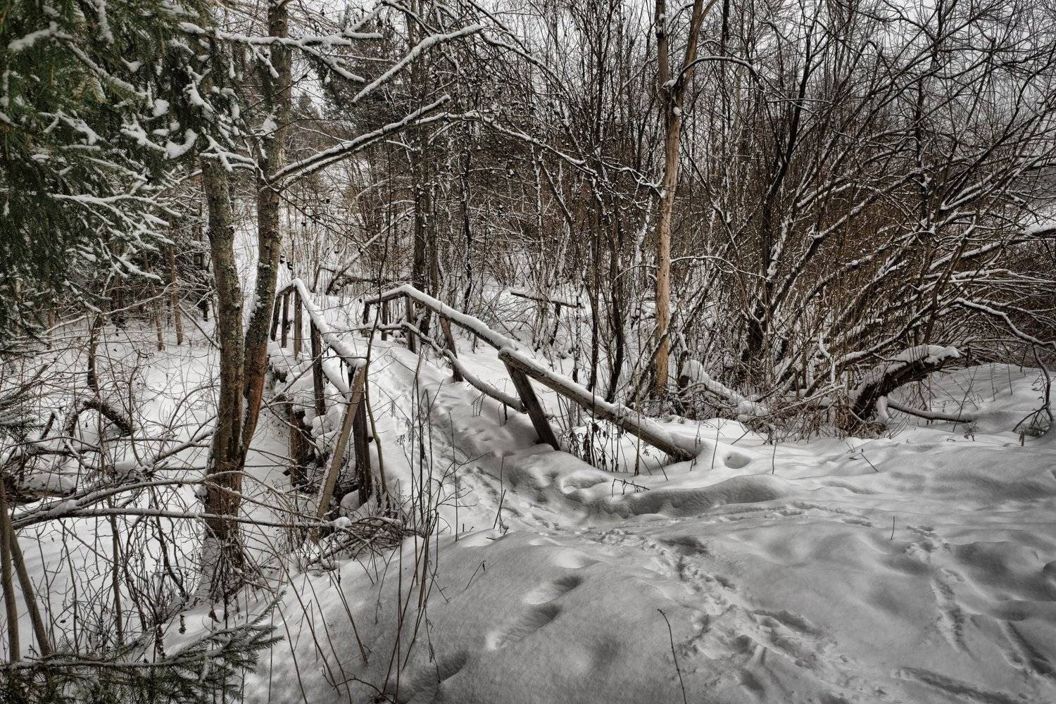 Пейзаж,зима,лес.тропа,мостик, Юлия Мазуркевич