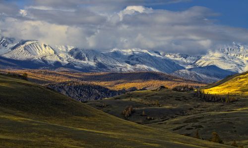 Курайские просторы