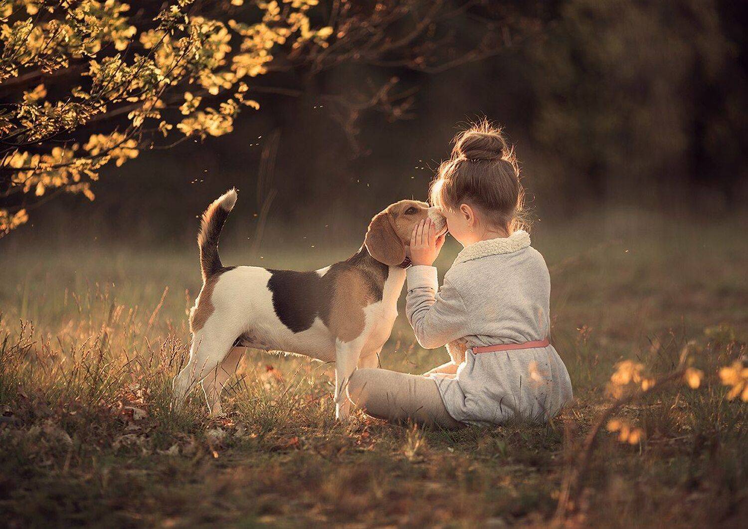 , Дарья Степанова