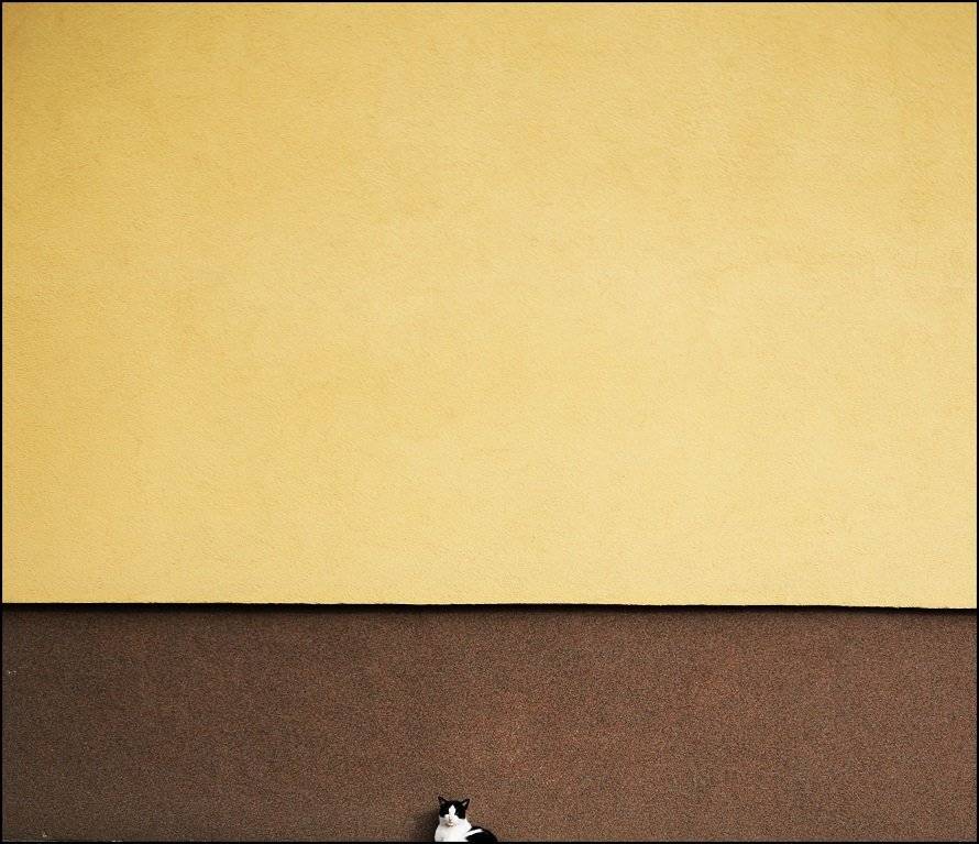 , Krzysztof Trojanowski