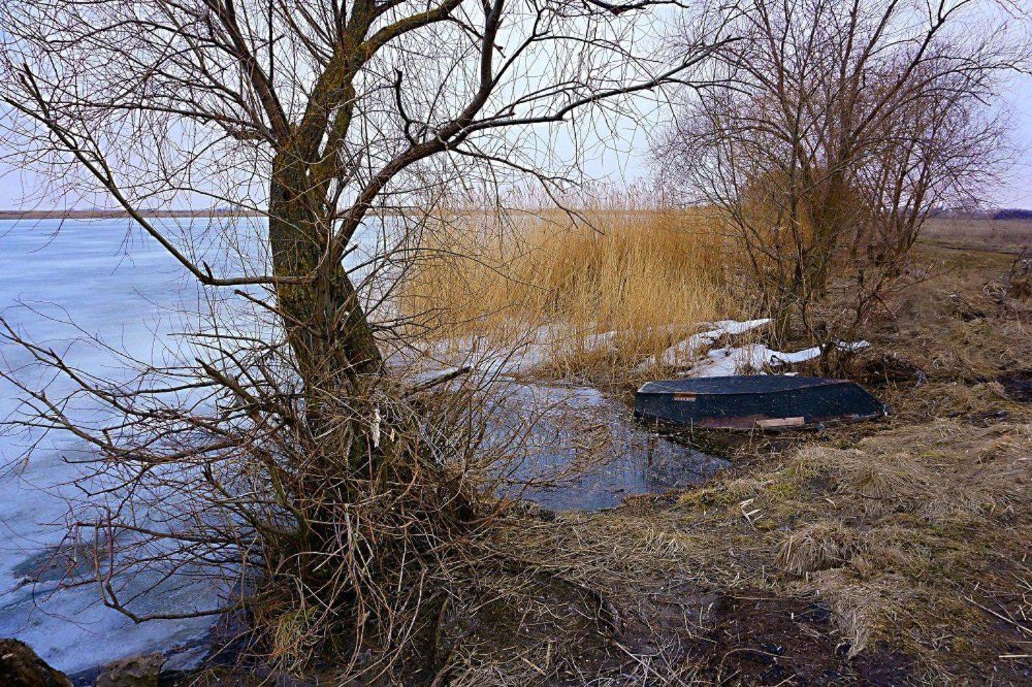 , Марина Соколова