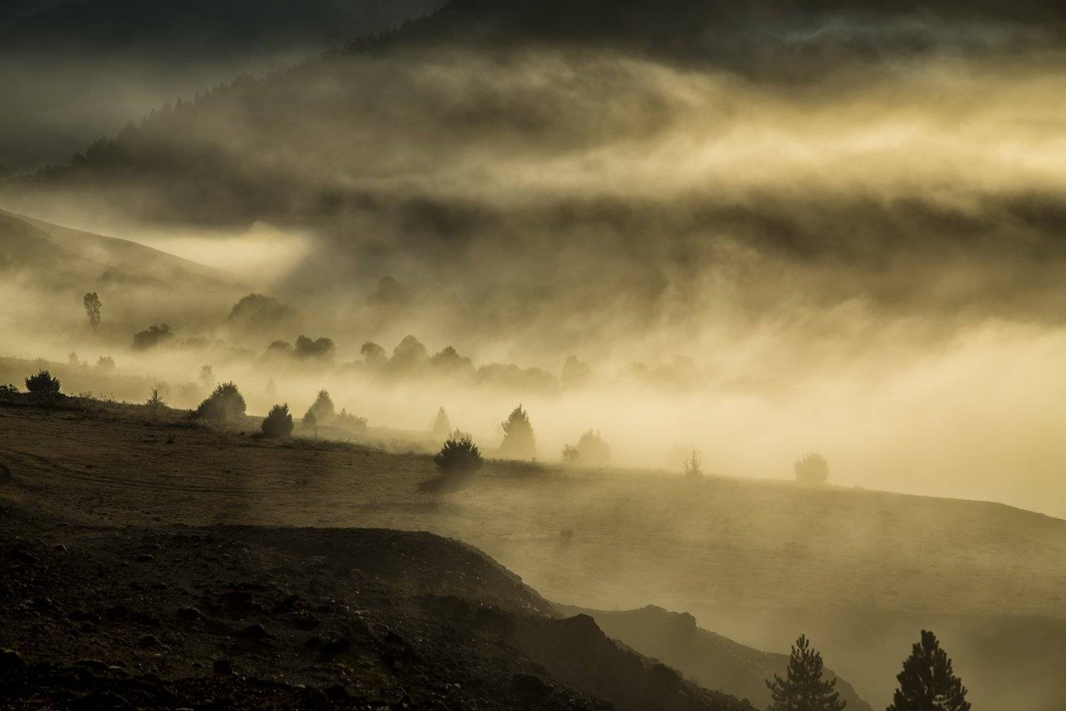 morning,lanscape,smook, ORHAN K&Ouml;SE