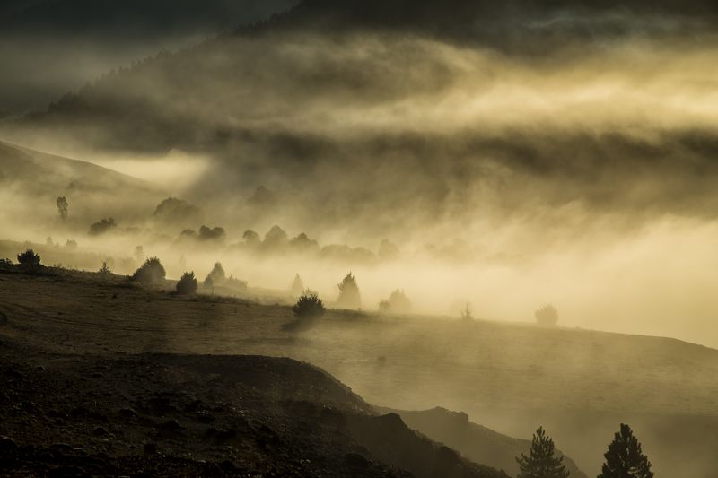 morning,lanscape,smook morning фото превью