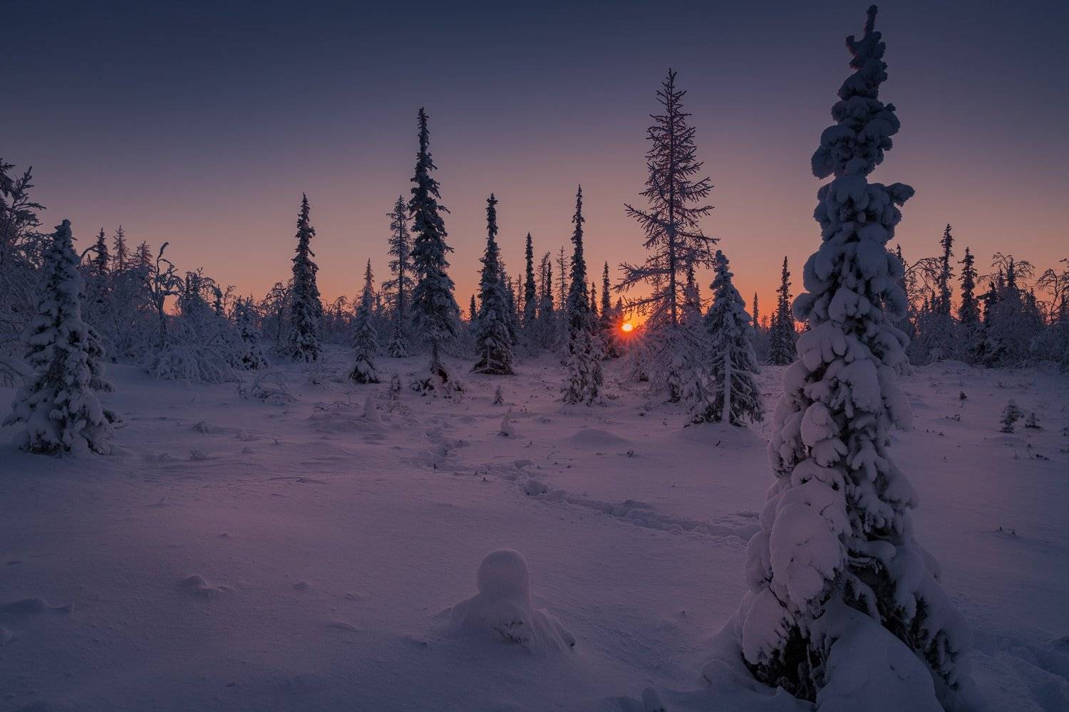 , Евгений Кужилев