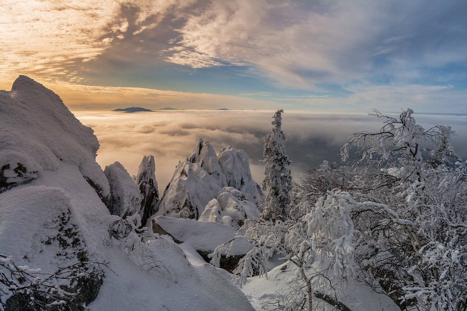 , Андрей Шарапов