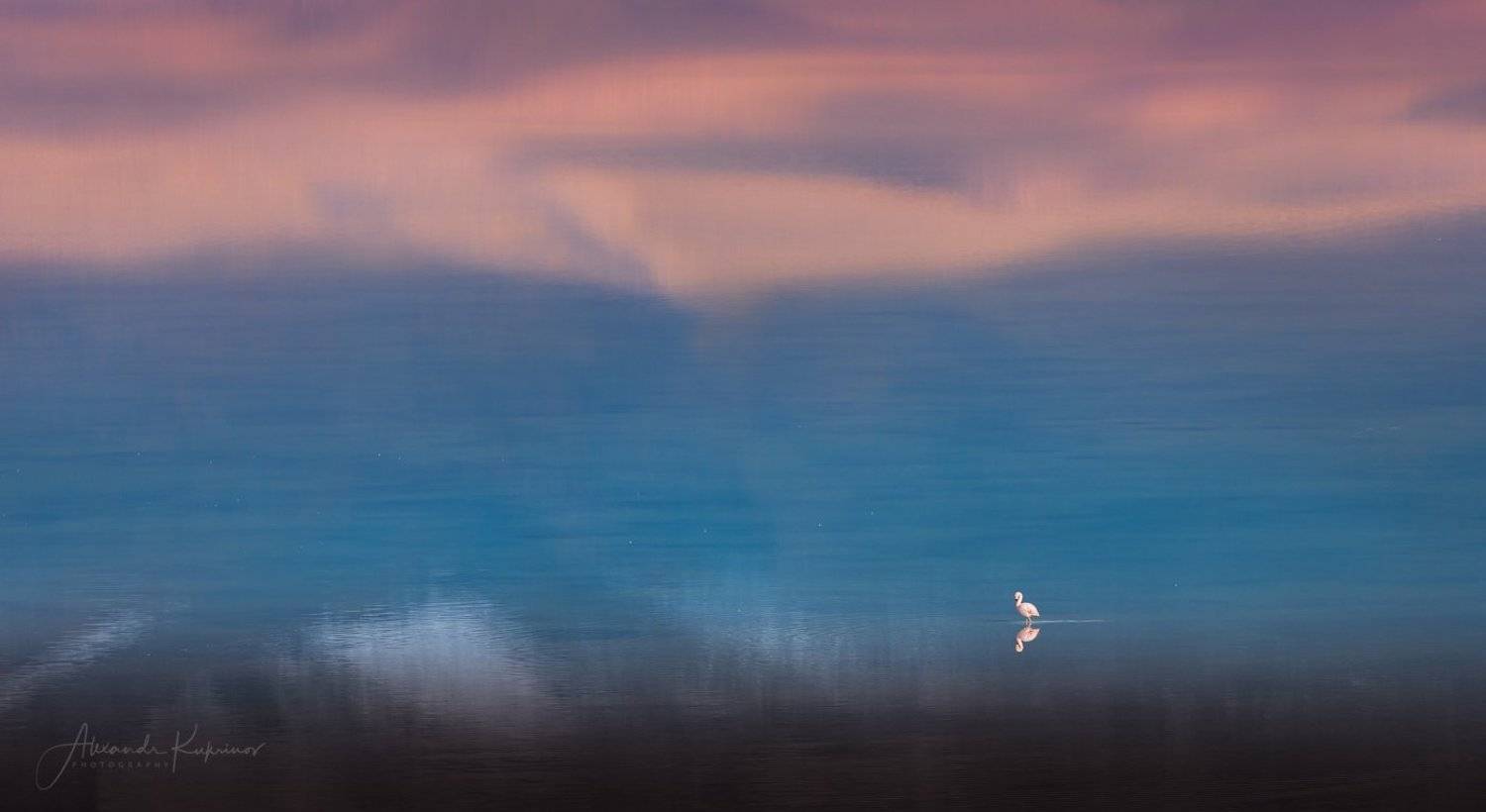 боливия,пейзаж, рассвет, laguna blanca, Александр Кукринов