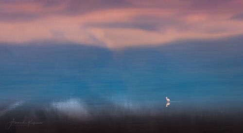 Laguna Blanca, Боливия.