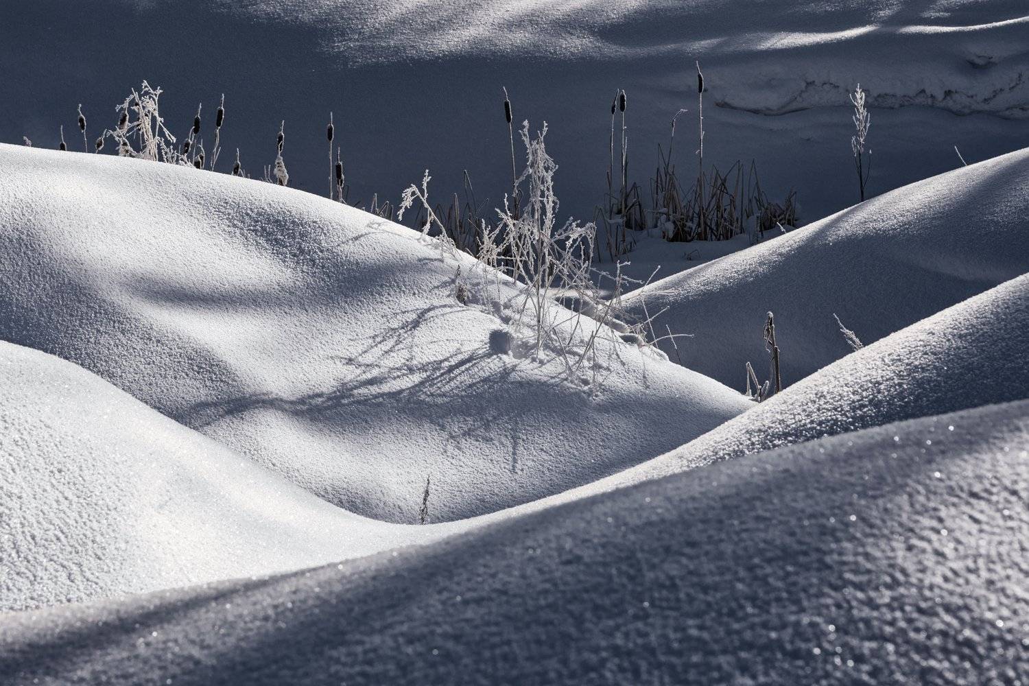 зима март сугробы свет тени, Ра Вера