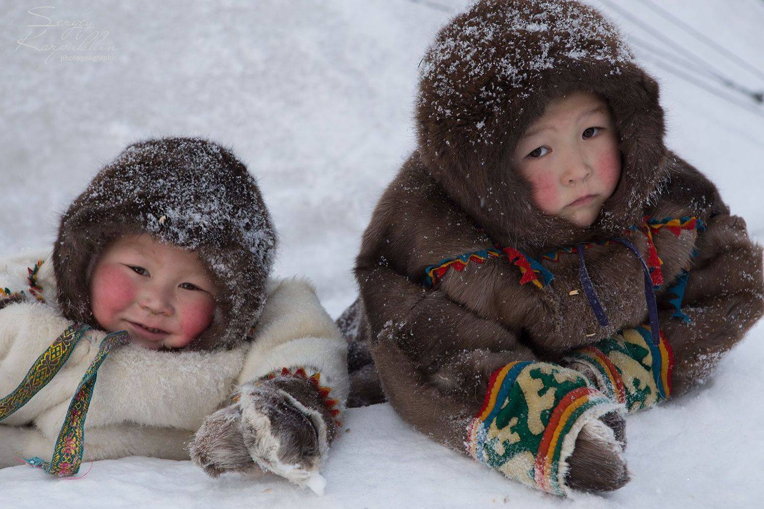 ямал, полярный урал, олени, оленеводы, ненцы, Сергей Карпухин