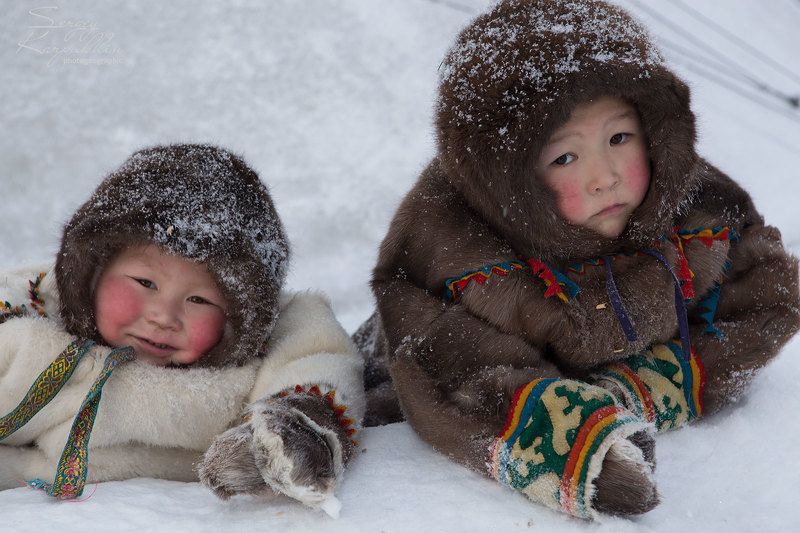 ямал, полярный урал, олени, оленеводы, ненцы Старший и младший фото превью