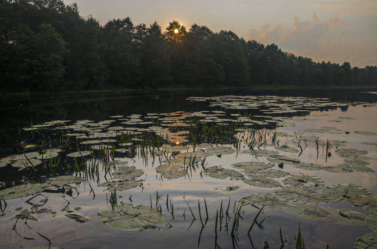 Александр Березуцкий, пейзаж, озеро, вечер, Александр Березуцкий