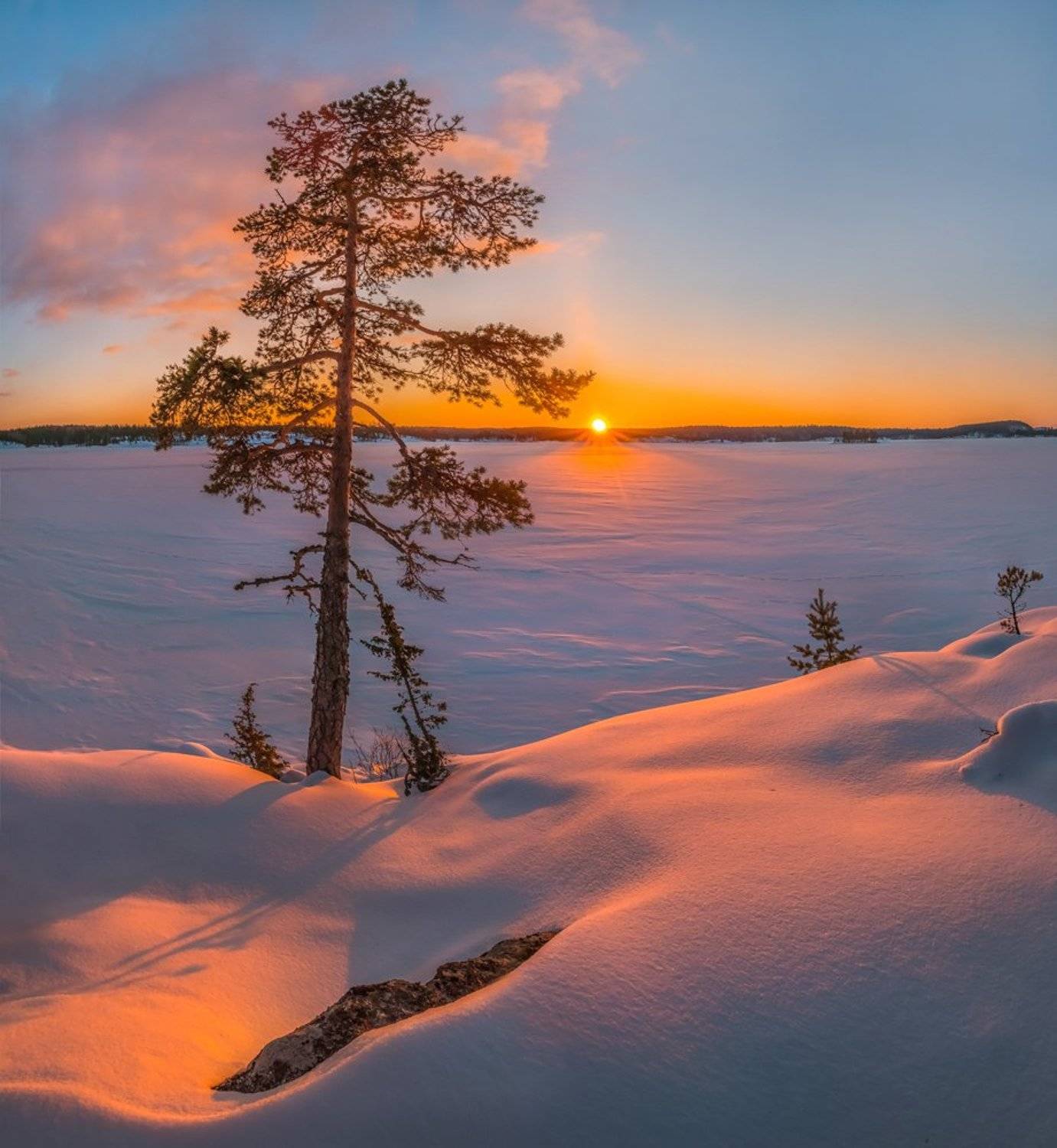 ладожское озеро, карелия, остров, зима, снег, фототур, скалы, шхеры, сосна, дерево, солнце, закат, pentax645z, pentaxrussia, pentax,, Лашков Фёдор