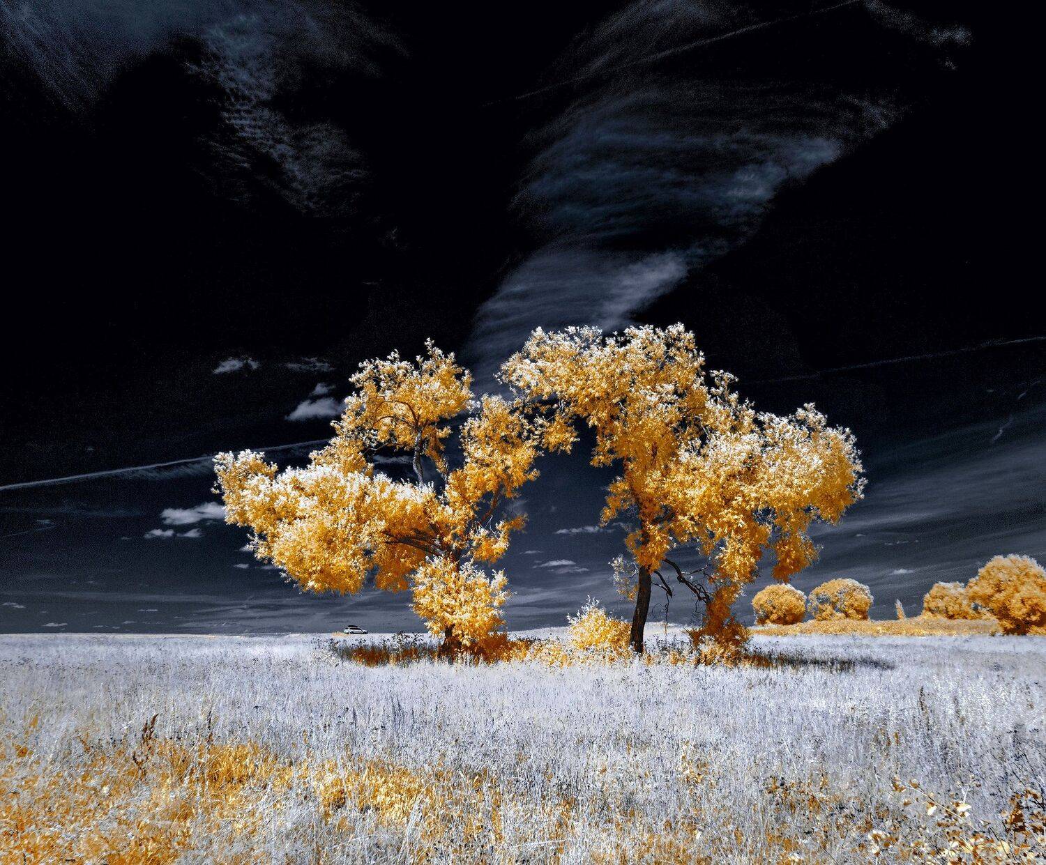 infrared,ик-фото,инфракрасное фото,инфракрасная фотография,пейзаж,природа,беларусь,лето, Sixten ( Сергей )