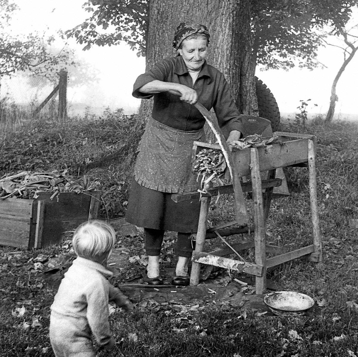 в деревне, Rimantas Petrikas